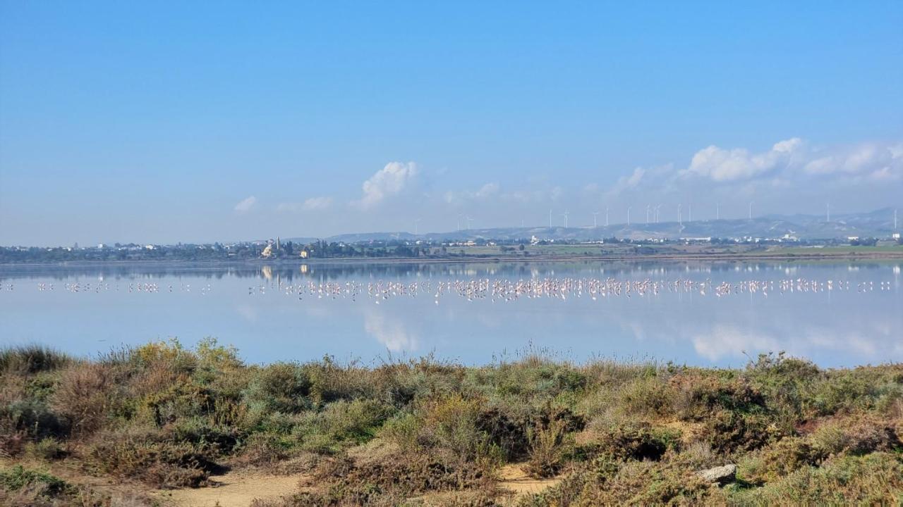 Cozy Beach Apt / 100 MBit+ Netflix / Near Airport Larnaca Zewnętrze zdjęcie